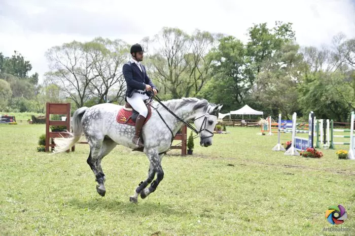 Transylvania Horse Show