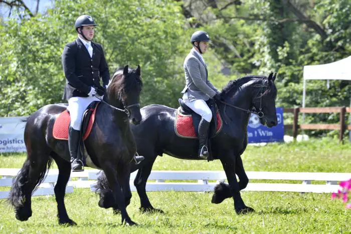 Transylvania Horse Show