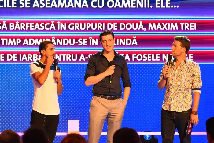 Constantin Dita, Andi Moisescu