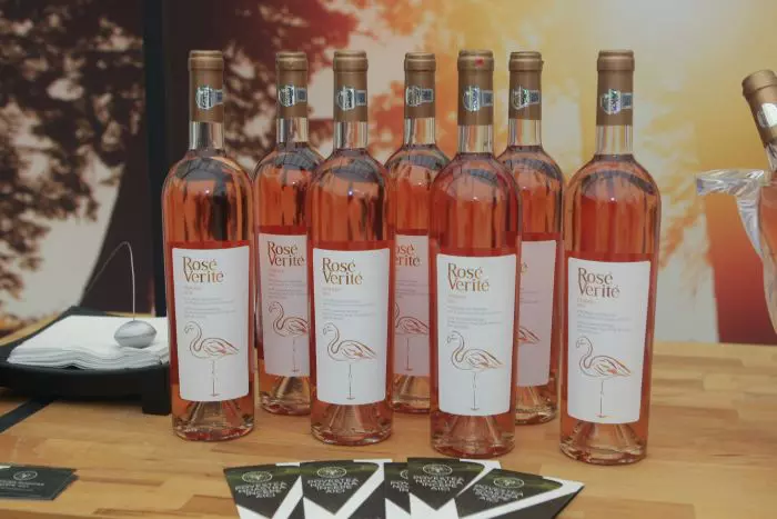 VIVA! Shopping with Stars