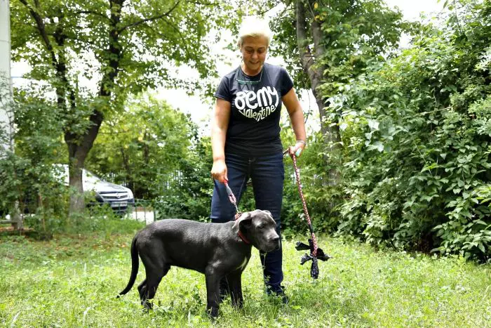 Monica Anghel este mare iubitoare de câini