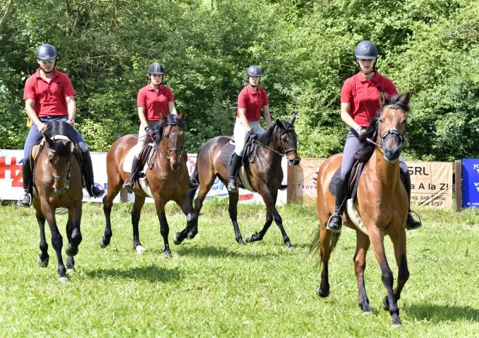 Transylvania Horse Show