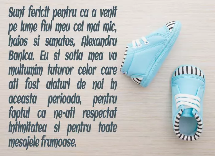 Mesajul lui Ștefan Bănică