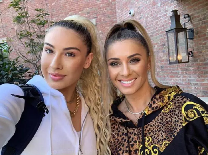 Anamaria Prodan demisia 4