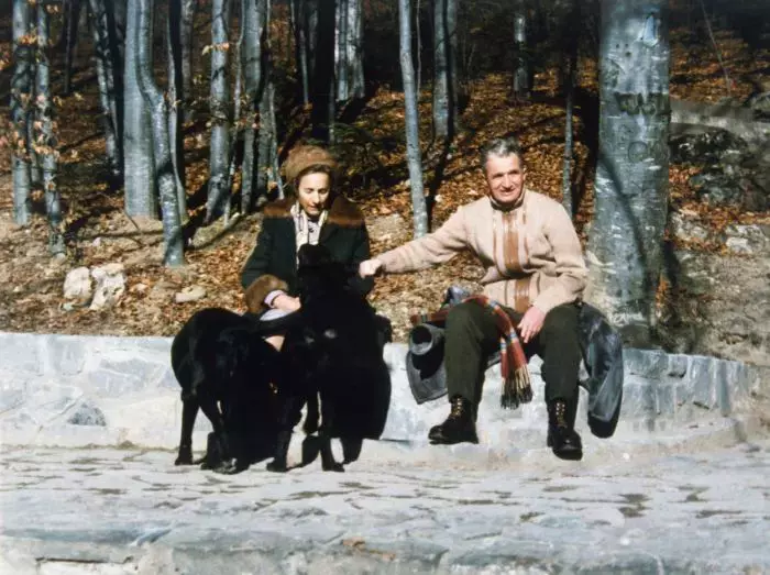 Ceausescu-caine