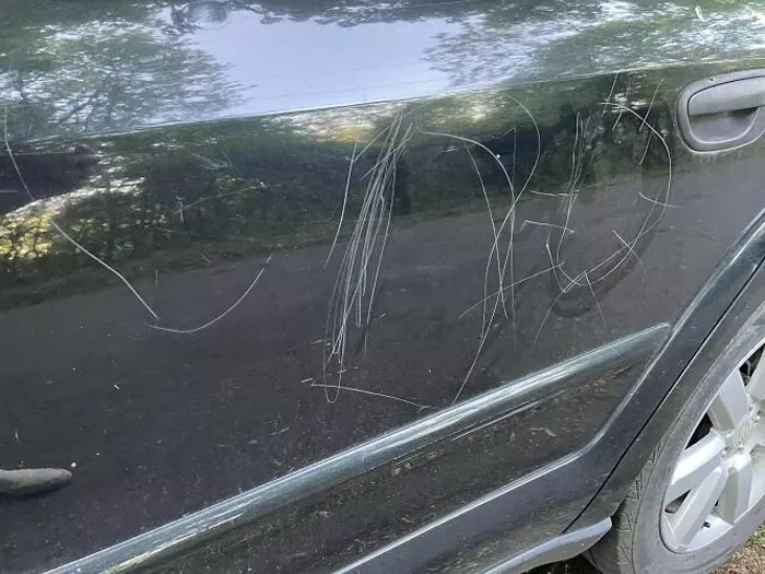 terrible-infuriating-neighbors-24-6315f005ef1b6__700
