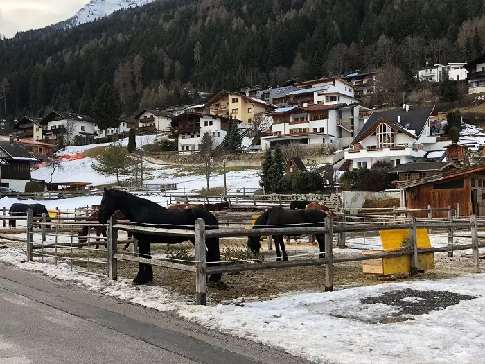 Anca Serea în vacanță