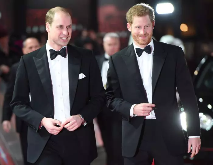Prinţul William Duce de Cambridge şi Prinţul Harry