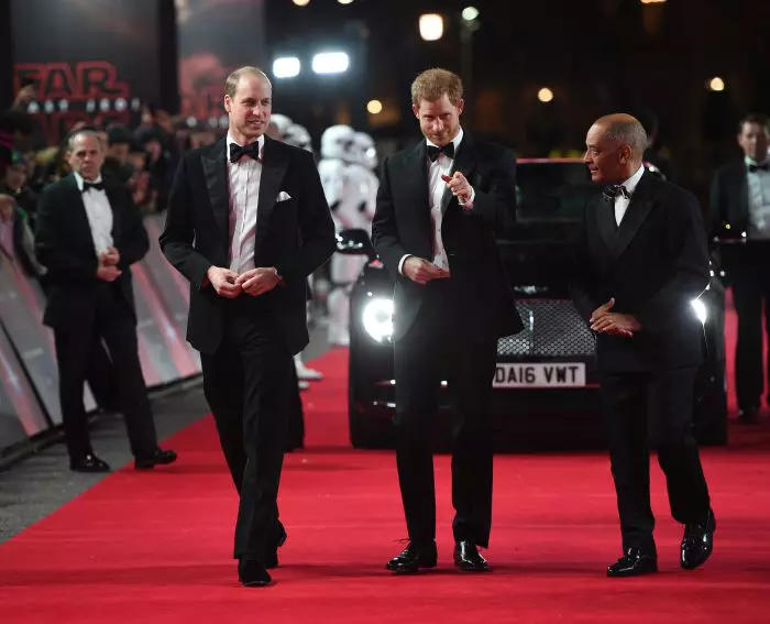 Prinţul William Duce de Cambridge şi Prinţul Harry