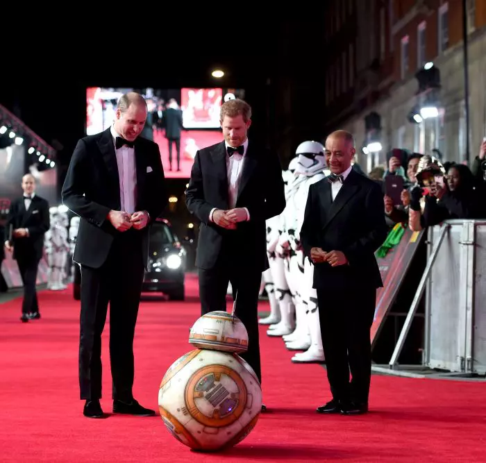 Prinţul William Duce de Cambridge şi Prinţul Harry