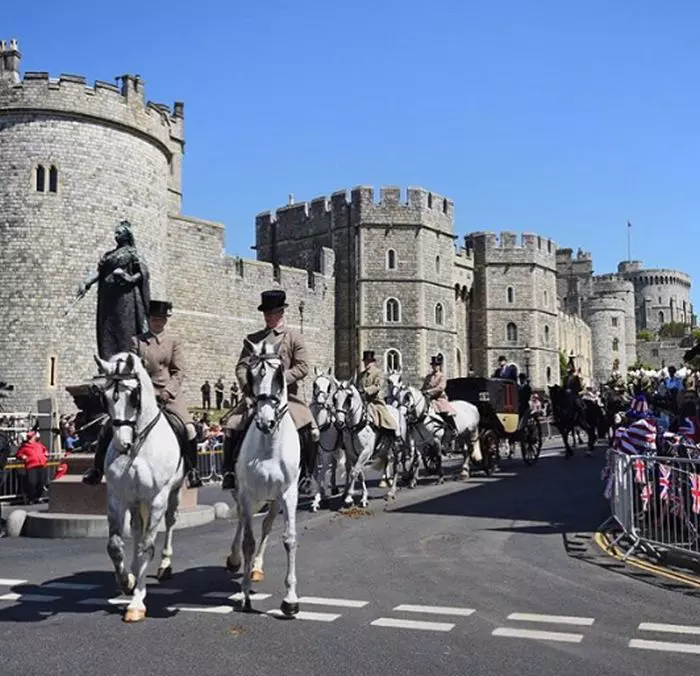 Repetitii nunta regala
