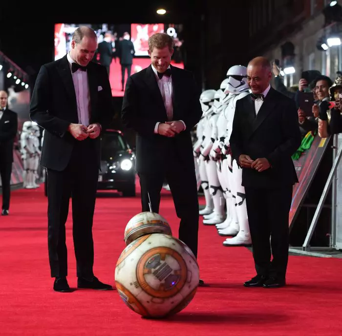 Prinţul William Duce de Cambridge şi Prinţul Harry