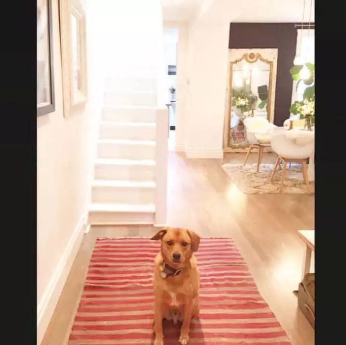 Meghan Markle locuia cu cei doi căței ai săi