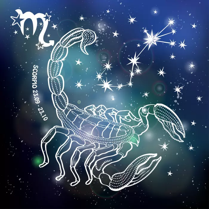 scorpion