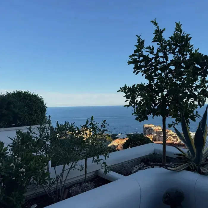 Imagini din penthouse-ul în care Mihaela Rădulescu locuiește la Monaco (2)