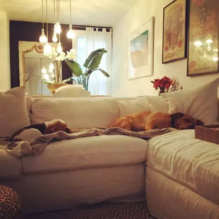 Apartamentul în care Meghan Markle locuia înainte să îl cunoască pe Prințul Harry