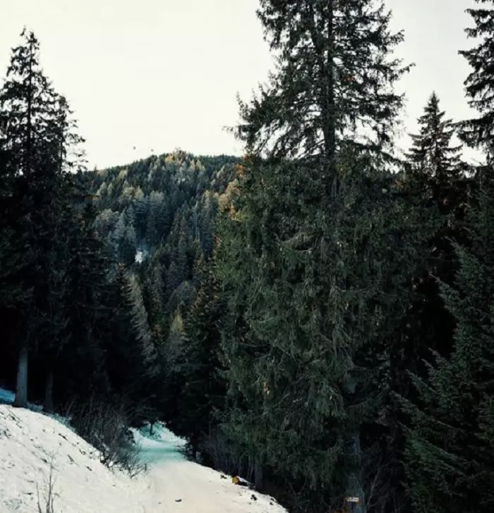 Lili Sandu și Silviu Tolu - Hotel Cota 1400