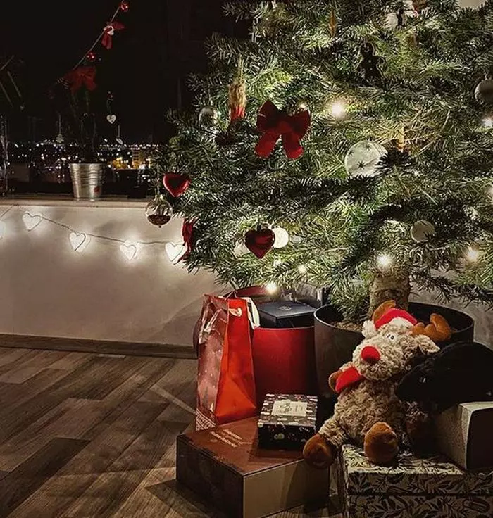 Bradul Michaelei Prosan