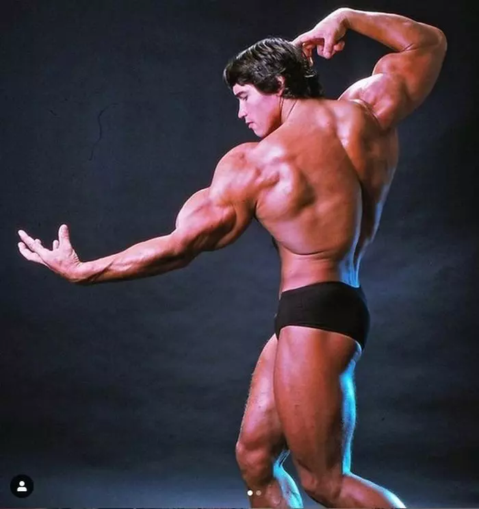 Arnold Schwarzenegger