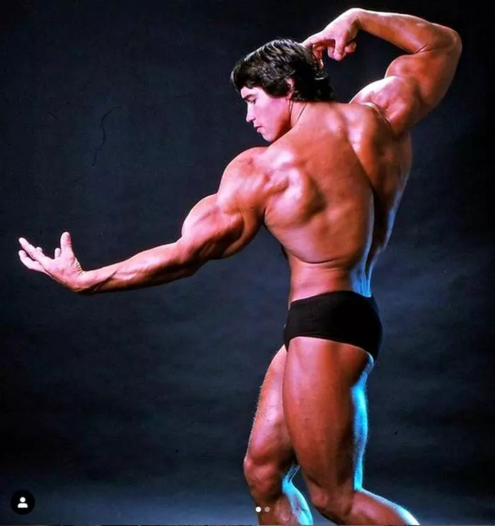 Arnold-Schwarzenegger-2