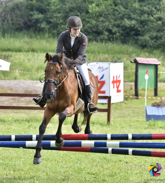 Transylvania Horse Show