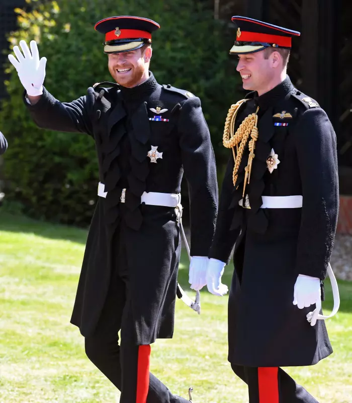 printul Harry si printul William