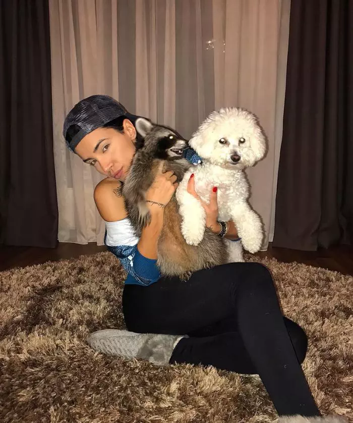 Adelina Pestrițu, Nobby și Cindy