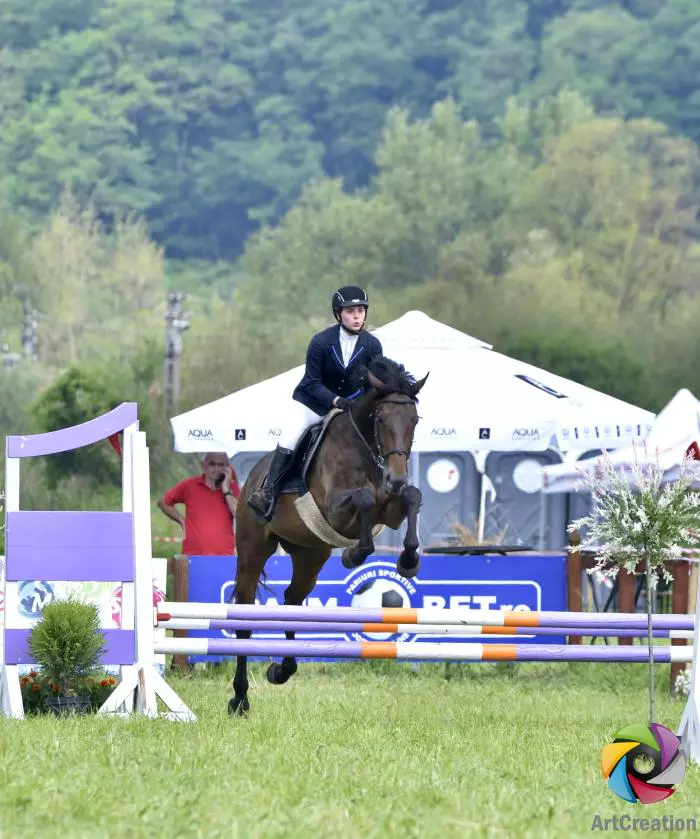 Transylvania Horse Show