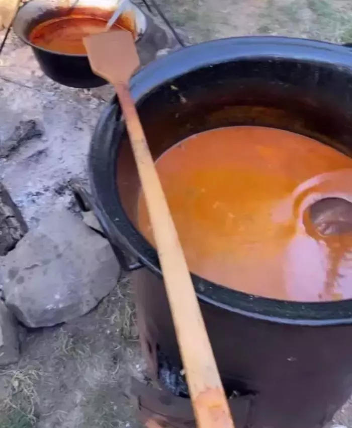 301333863_980913386202432_8771684624660637306_n-1-637x1024-1