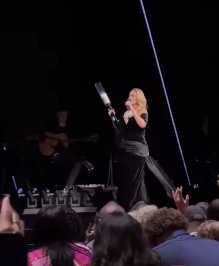 Adele reacție artiste lovite la concerte
