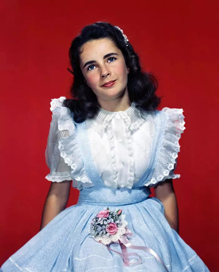 Elizabeth Taylor ochi