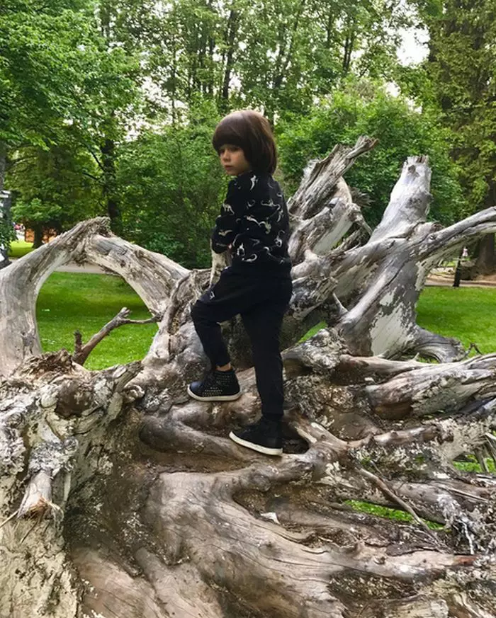 Noah, fiul Ancăi Serea