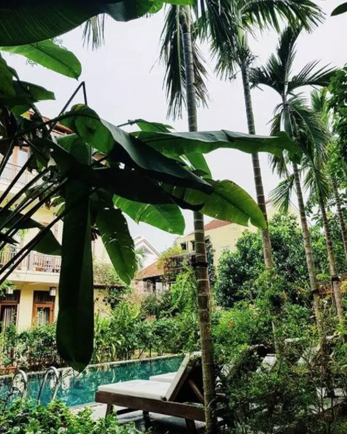 Dana Rogoz - Vietnam