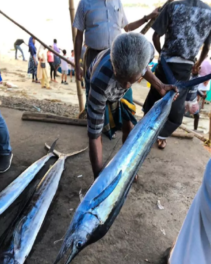 Delia, vacanță uimitoare în India