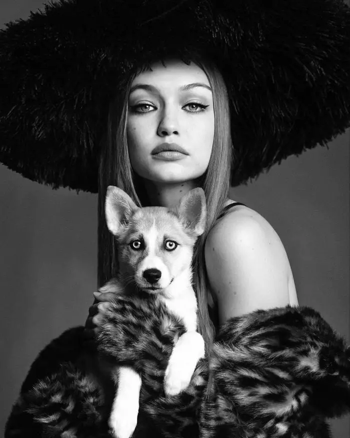 Gigi Hadid însărcinată