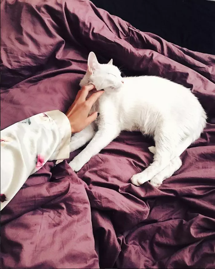 Pisica Alinei Ceușan