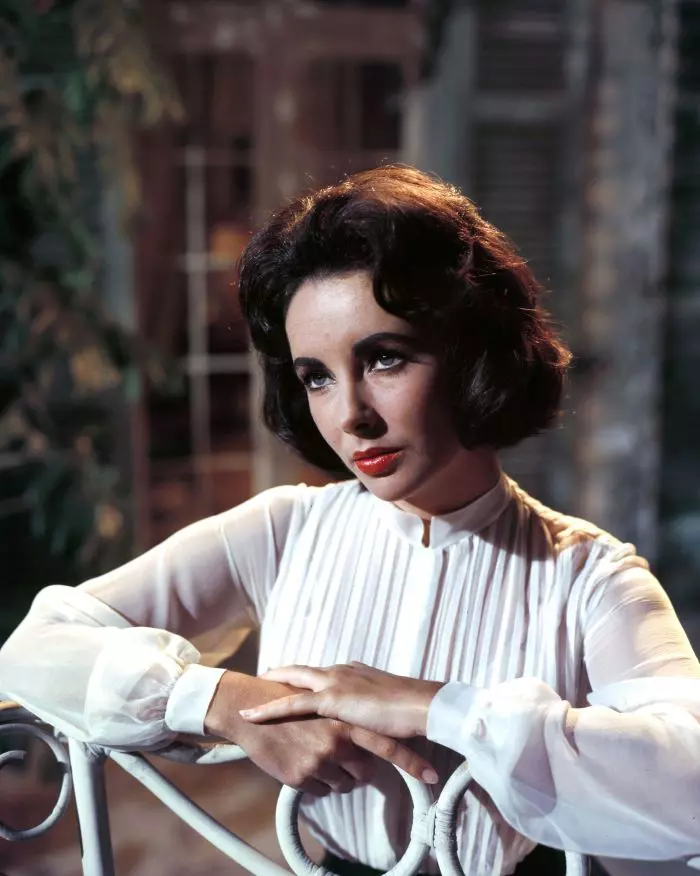 Elizabeth Taylor ochi