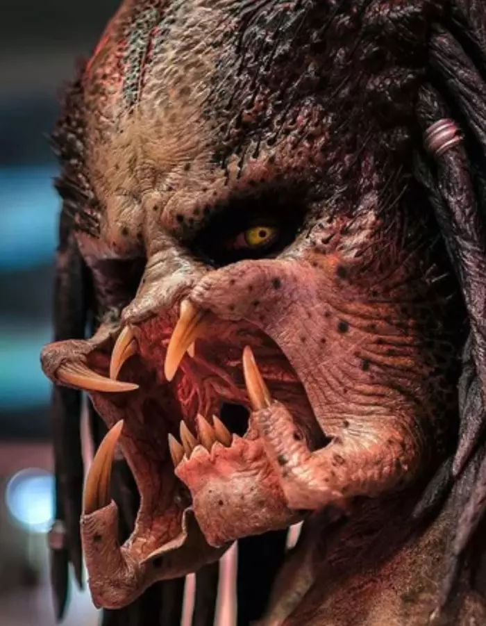 The Predator