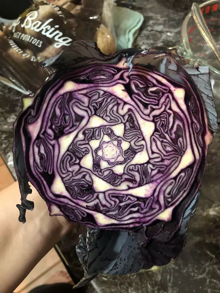 Geometria din interiorul unei verze