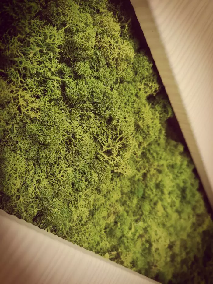 Fotografie surprinsă cu Huawei P20 Pro