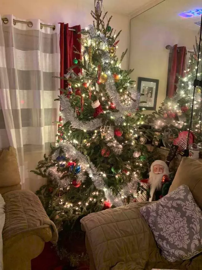 bradul Elenei Cârstea