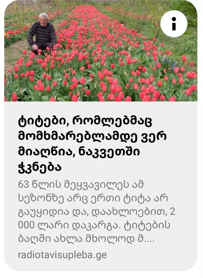 91914890_3033763523354577_9213865740925403136_n