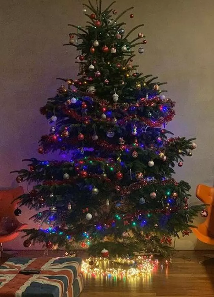 bradul Amaliei Năstase