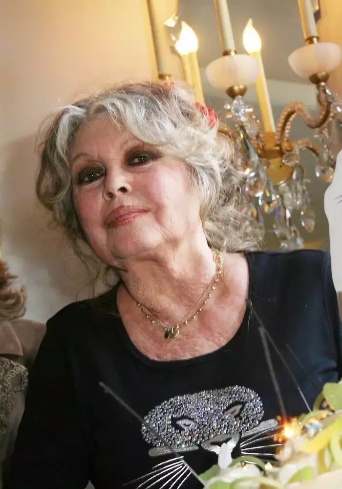 6brigitte-bardot