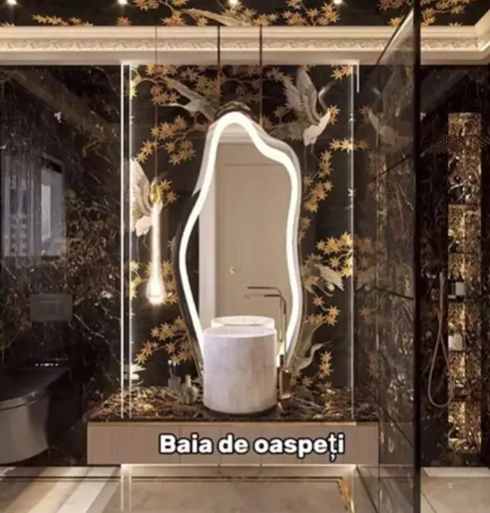 imagini casă Georgiana Lobonț (9)