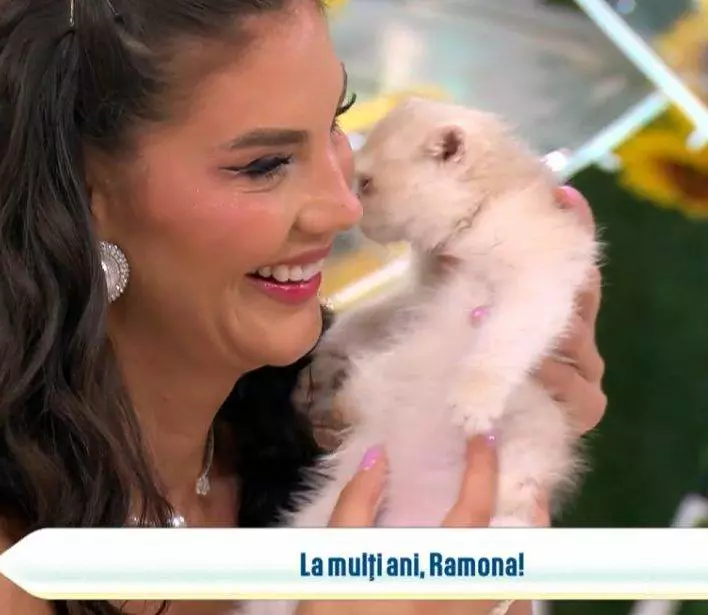 Cadoul Ramonei (1)
