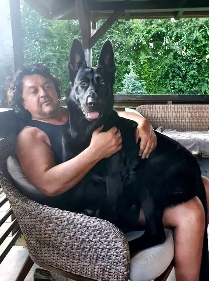 EXCLUSIV.-Verdictul-in-cazul-mortii-lui-Teo-Peter-contestat-azi-de-fostii-colegi.-Paul-Ciuci-Nu-se-cunoaste-tot-adevarul-5