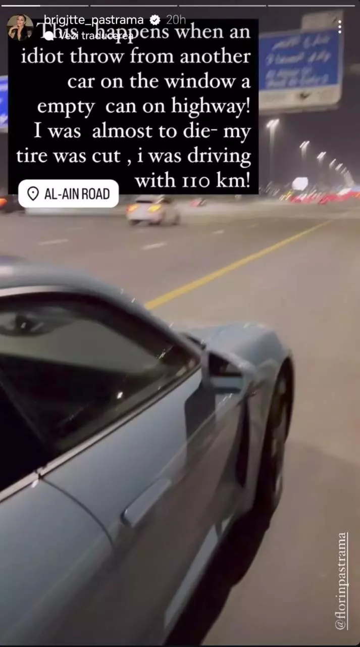 Brigitte Pastramă, la un pas de tragedie pe autostradă în Dubai (2)