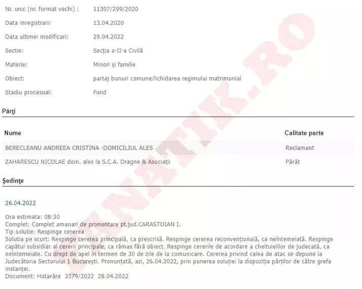 andreea-berecleanu-12