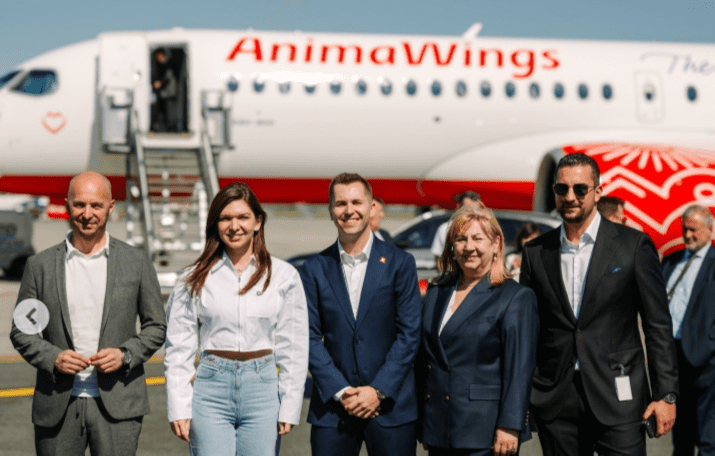 simona-halep-animawings-patrick-ciorcila